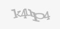 Защитный код