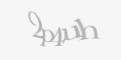 Защитный код